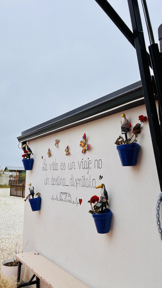 🍄Selodris 🍁 tweet media