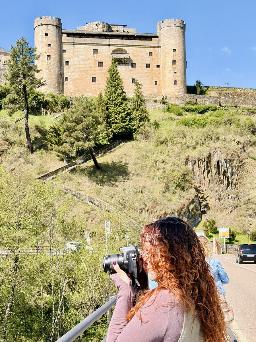 🍄Selodris 🍁 tweet media