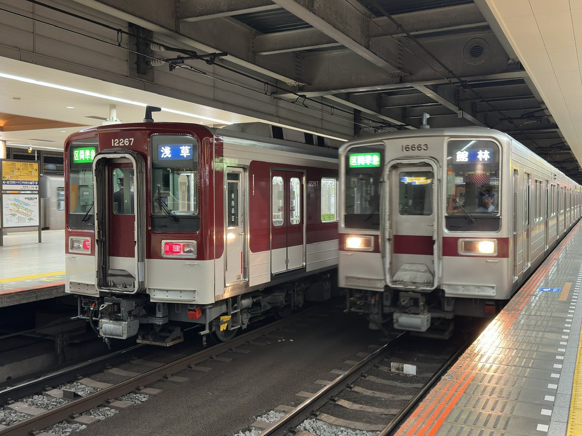 ナイマネちゃん tweet media