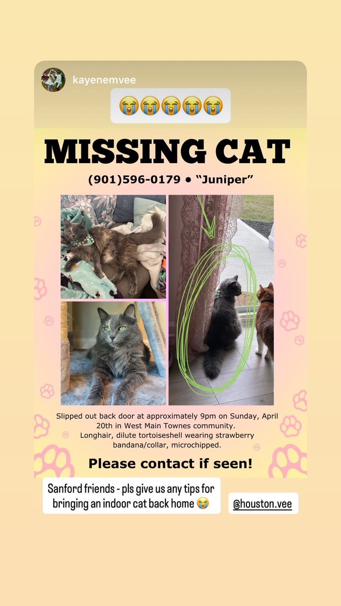 kels 🐞 tweet media