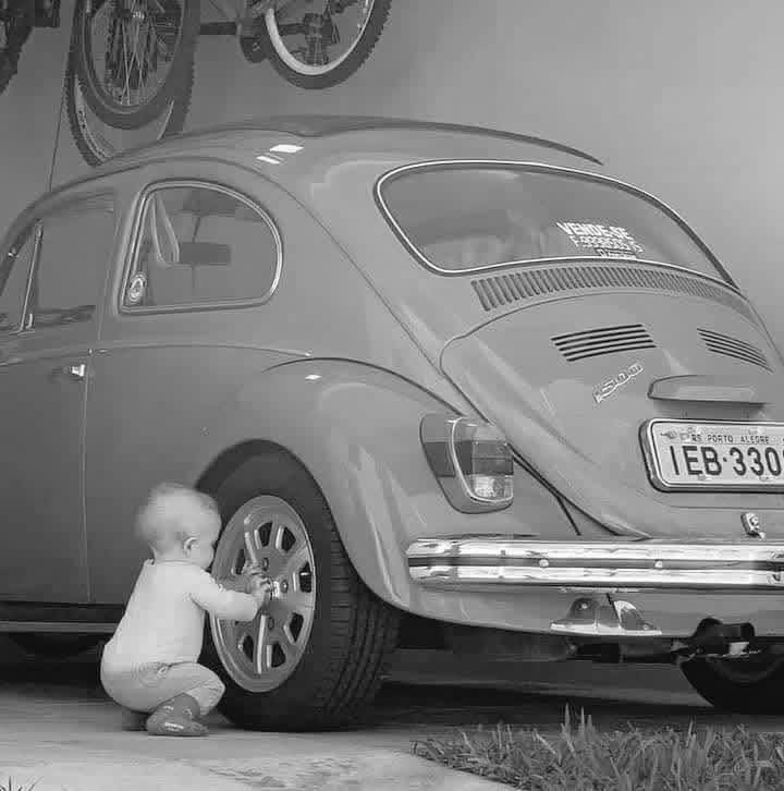 Gypsy Jane.... Waya Reign Rosalana 🥀🐺 tweet media