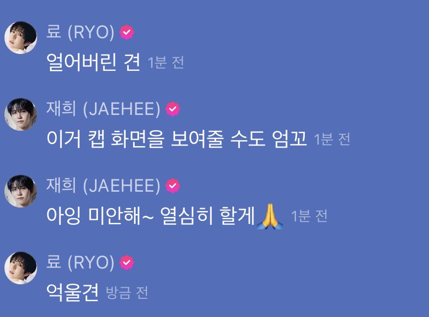 개둥이 tweet media