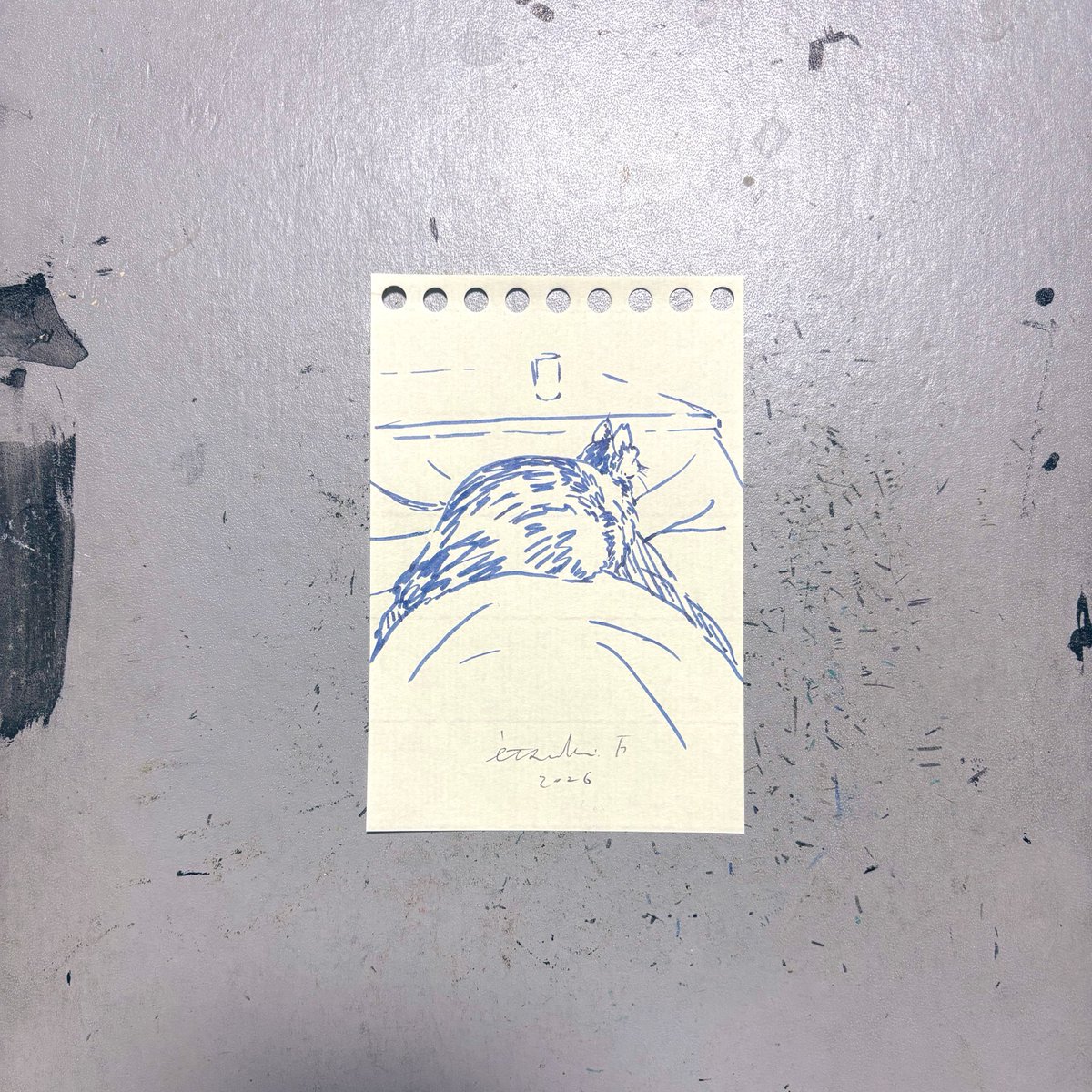 "腹の上のちー子さん"