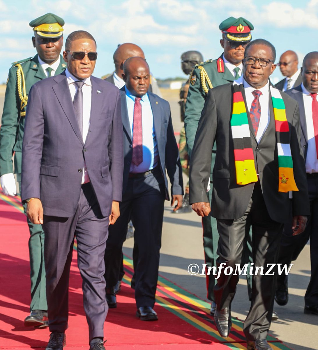 EDevelopZim tweet media