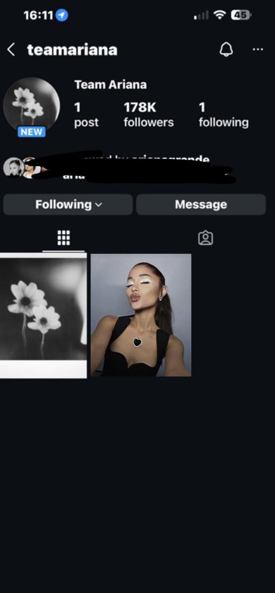 martin ꕤ tweet media