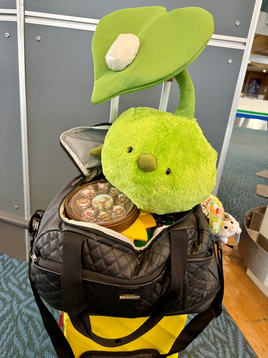 ☀️ Sol @ NA Fanfest tweet media