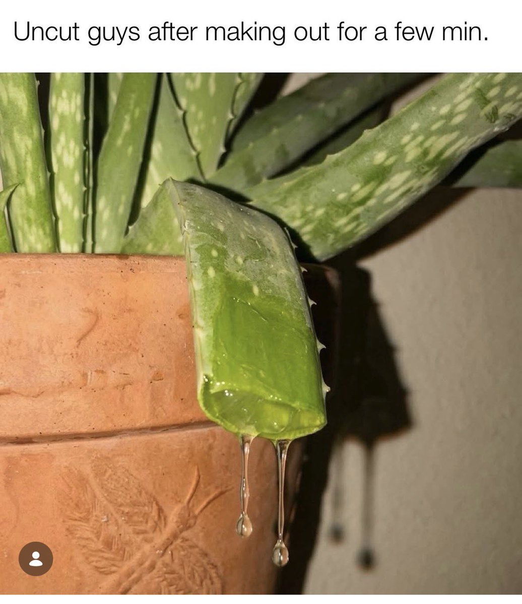 Edmonton Dude (Sambuca Sam) tweet media