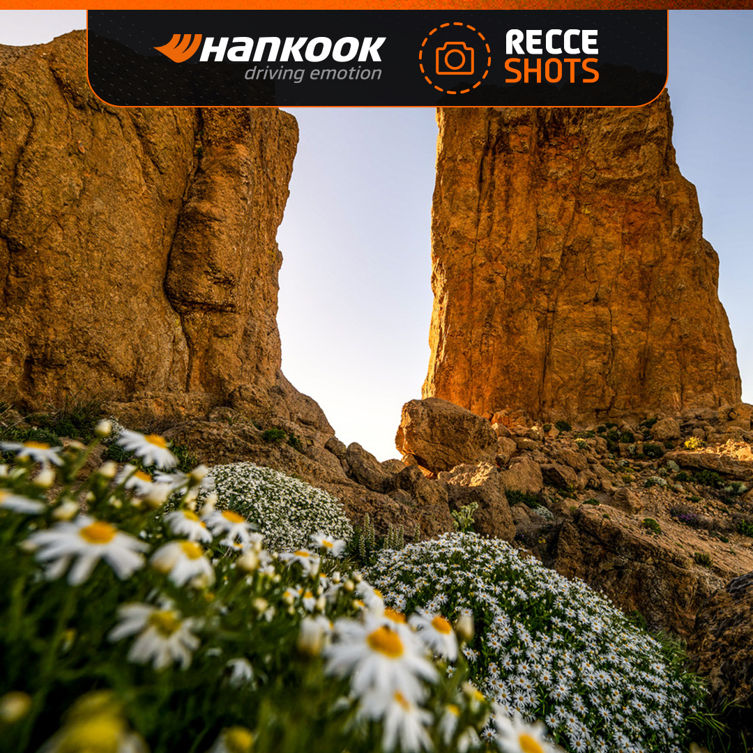 FIA World Rally Championship tweet media