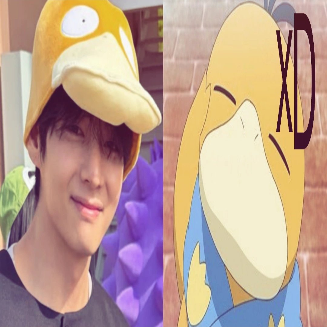 ✿ tweet media