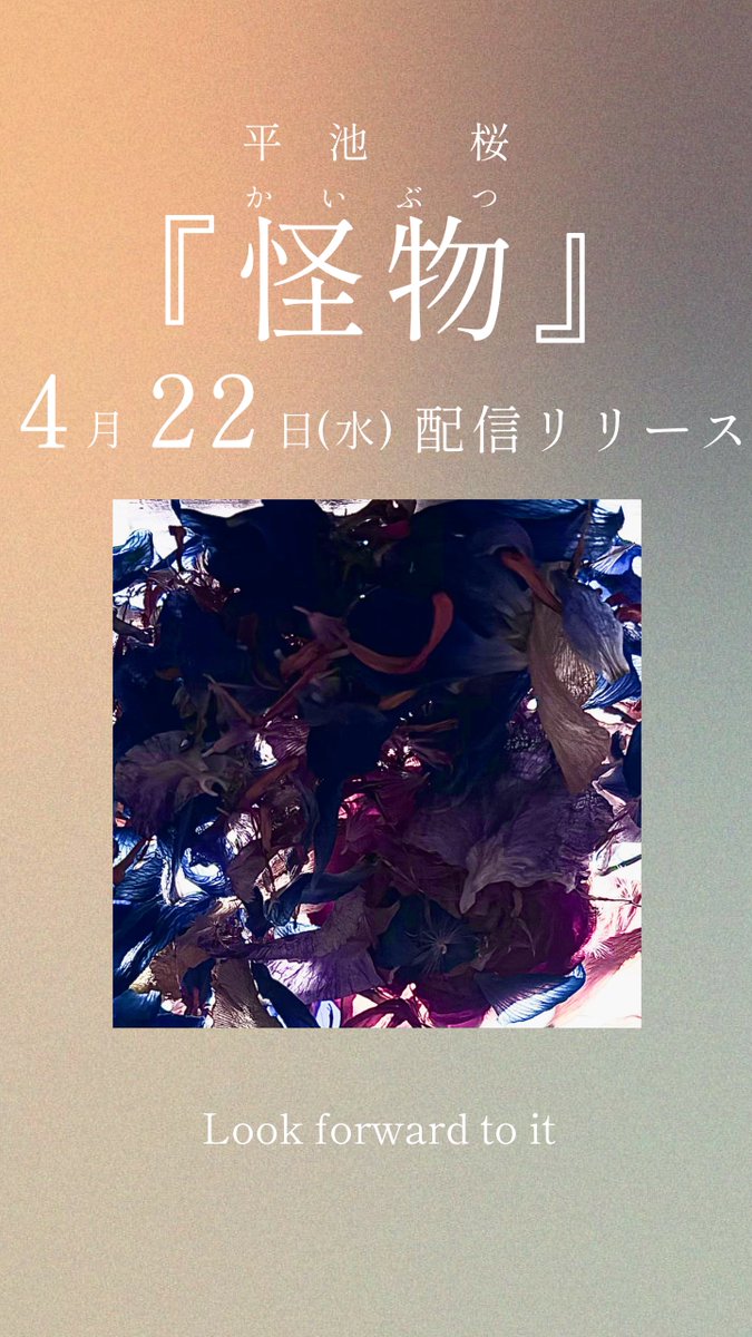 平池 桜 tweet media