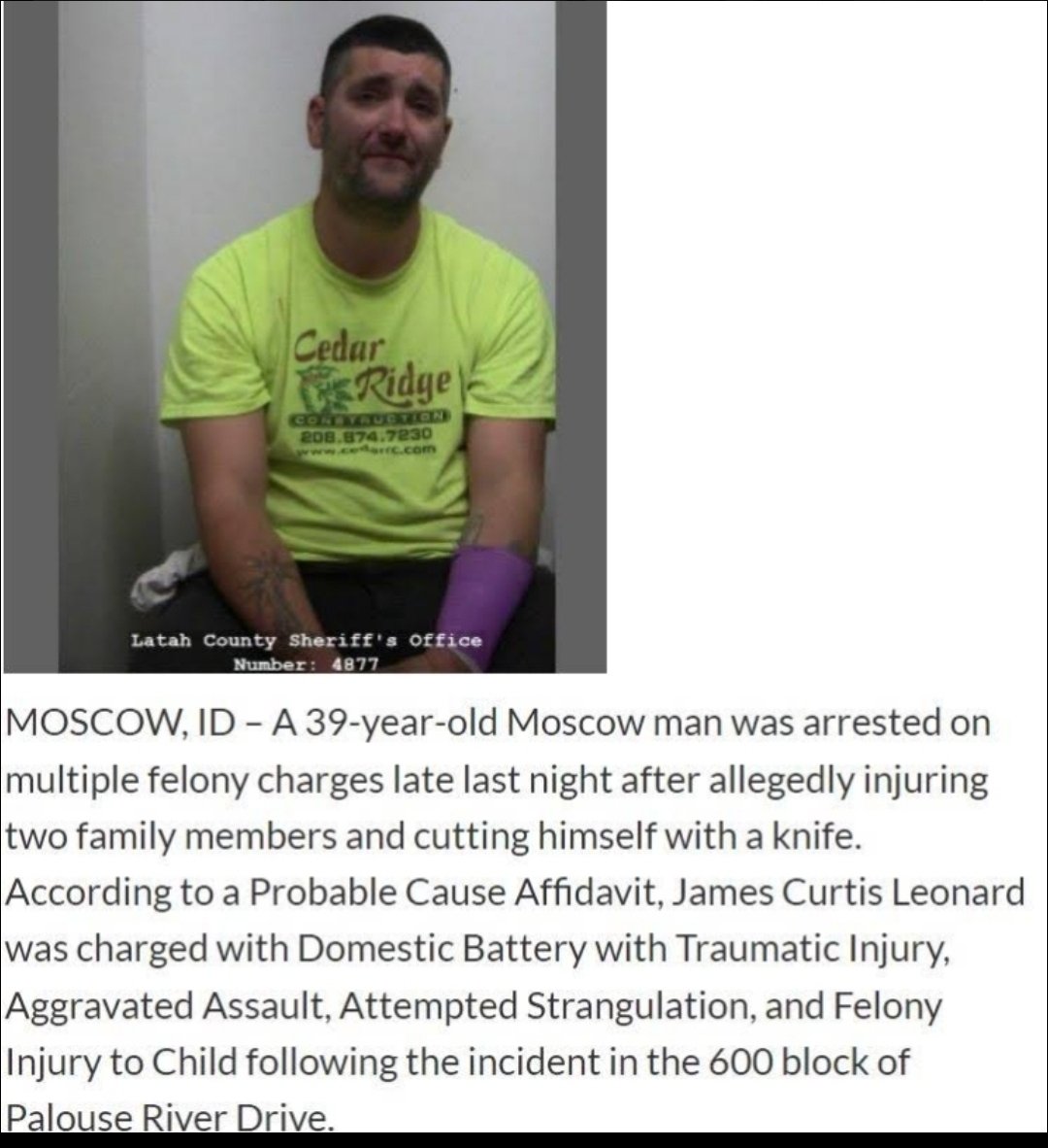 Idaho4 3D Theory Series tweet media