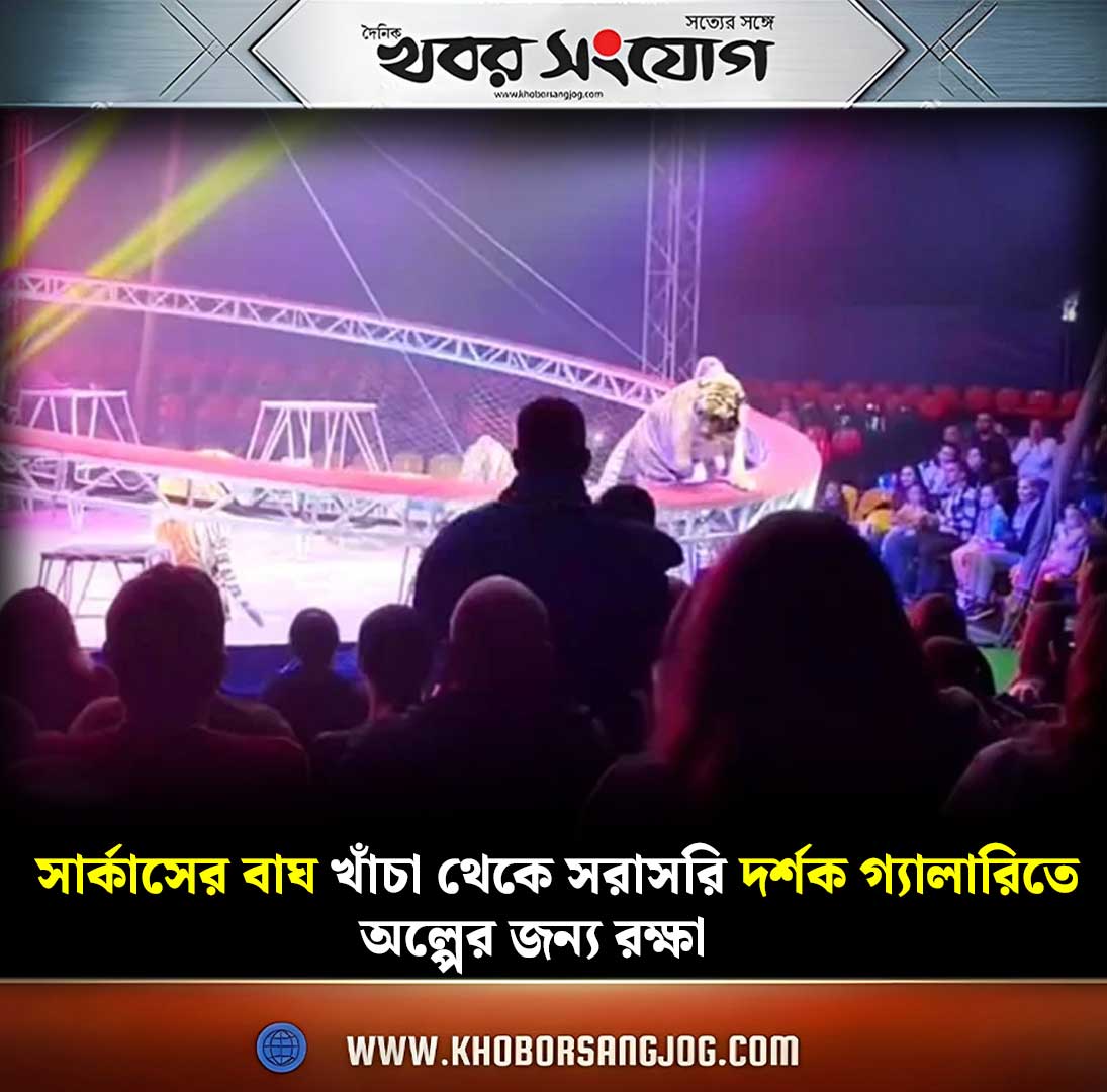 KSBanglaNews's tweet image. khoborsangjog.com/110865
#CircusTiger #RussiaNews #TigerAttack #khoborsangjog