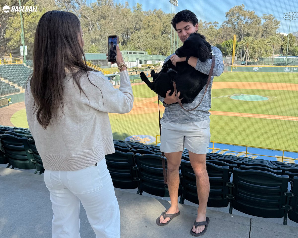 NCAA Baseball tweet media