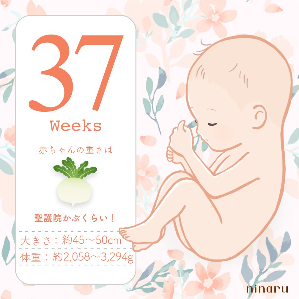 にん ☺︎38w tweet media