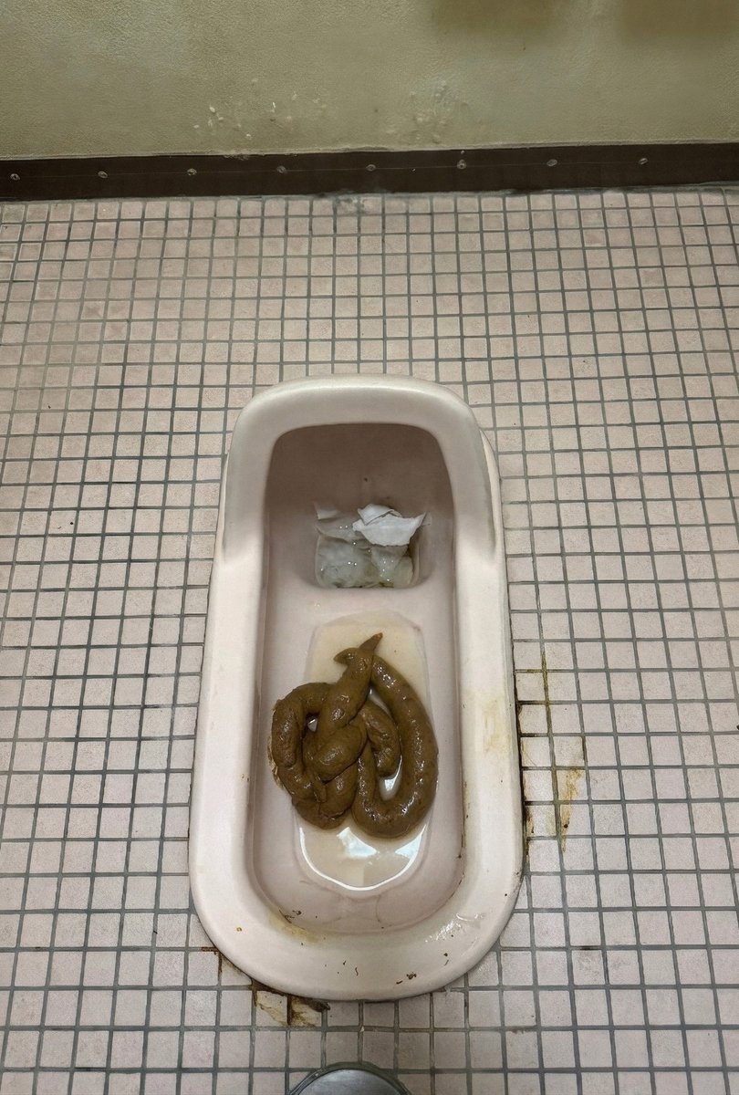 erisa_toilet's tweet photo. 全力うんち✨️出ました。
おなか鍛えてることもあって基本スルスルうんちが出てくるのですが、今日はズルズルと引っかかりがあってゆっくりと出てくる感じで出し応えすがすごかったです。お腹もお尻も大満足でした。嬉しい～ https://t.co/vJl2teZoic