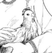 KaiChon «BOT» tweet media