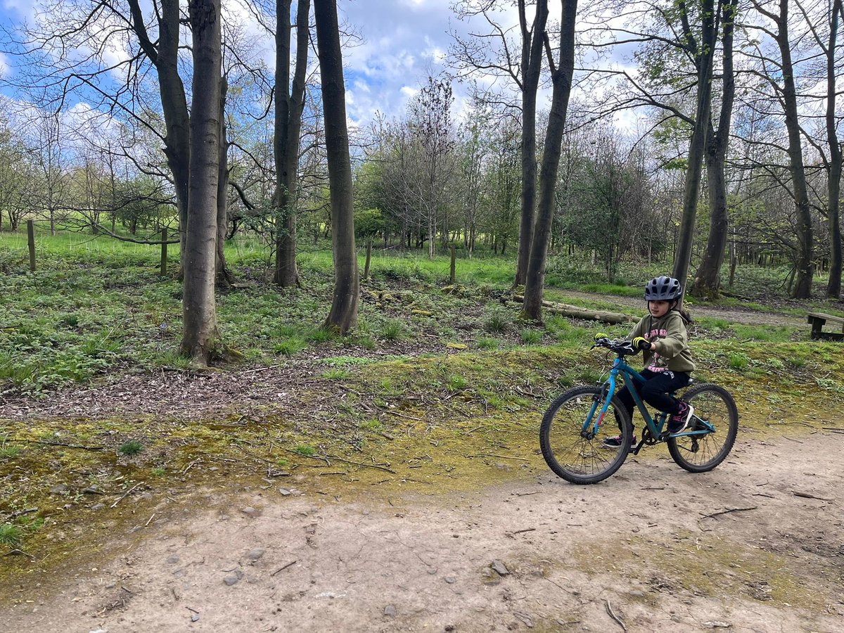 Roundhay Year 4 tweet media