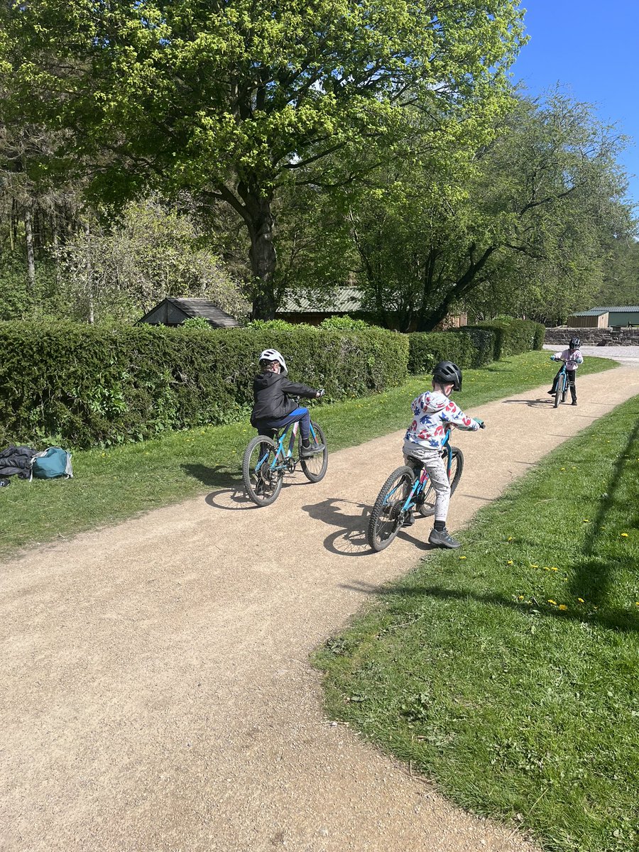 Roundhay Year 4 tweet media