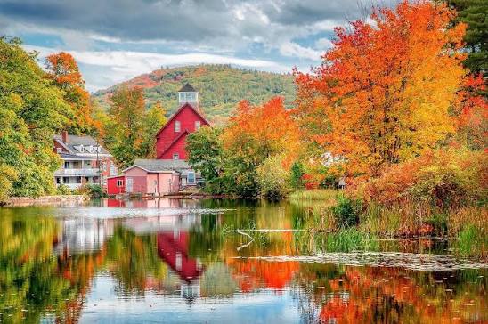 Victor D Orlando Vote VDO Congress 2026 tweet media