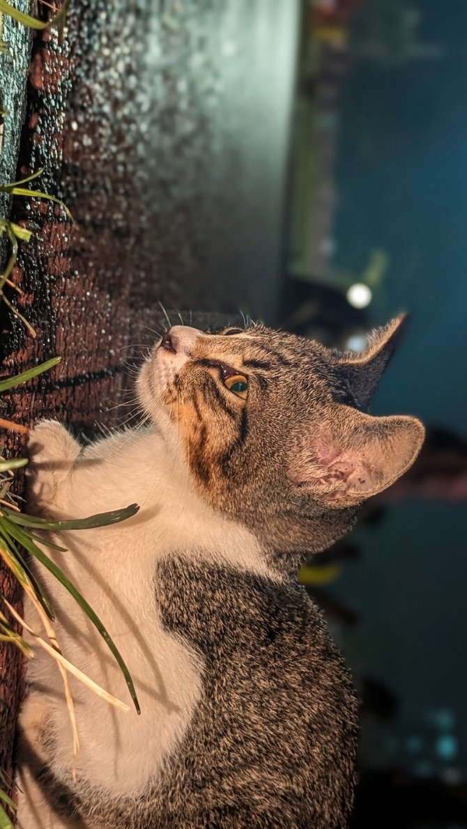 🏃🏼🏃🏼🏃🏼