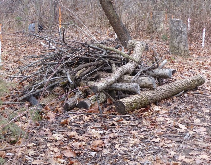 Give A Shit About Nature tweet media