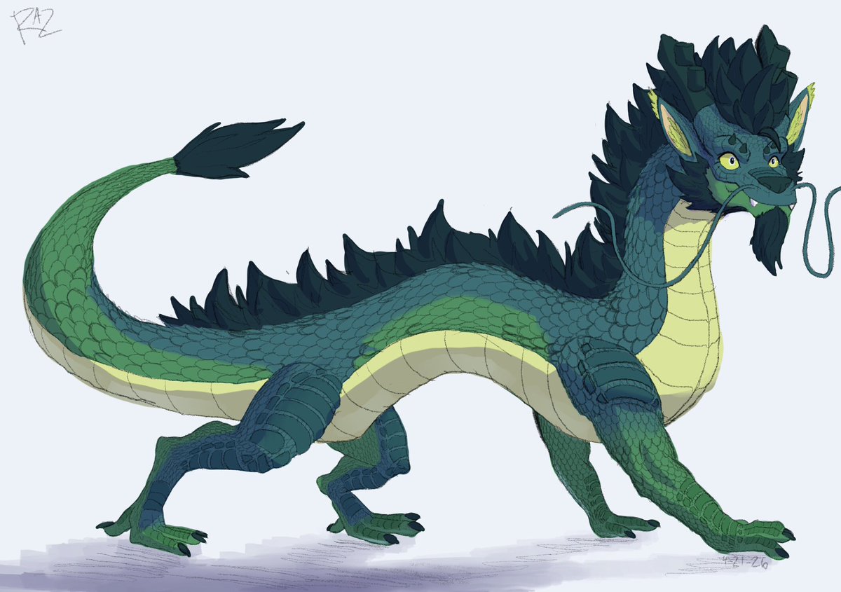 Noodle Raz Wulf 🐉, slightly different from his noodle cat form