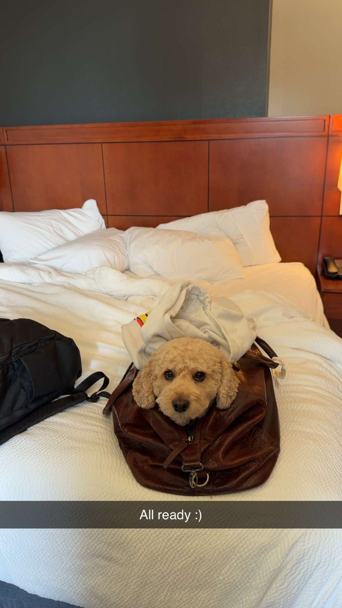 Yes I snuck him into the hotel. Can’t believe he fit!