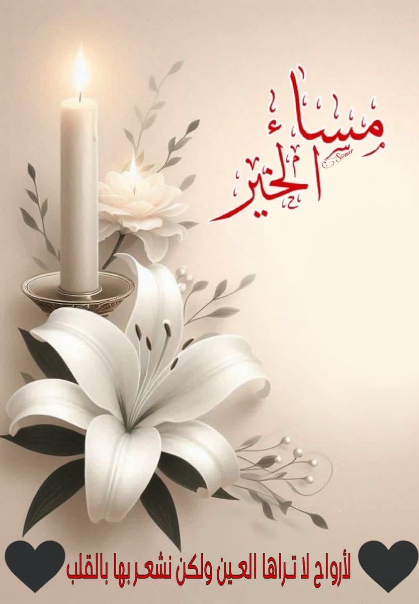 عبدالرحمن tweet media