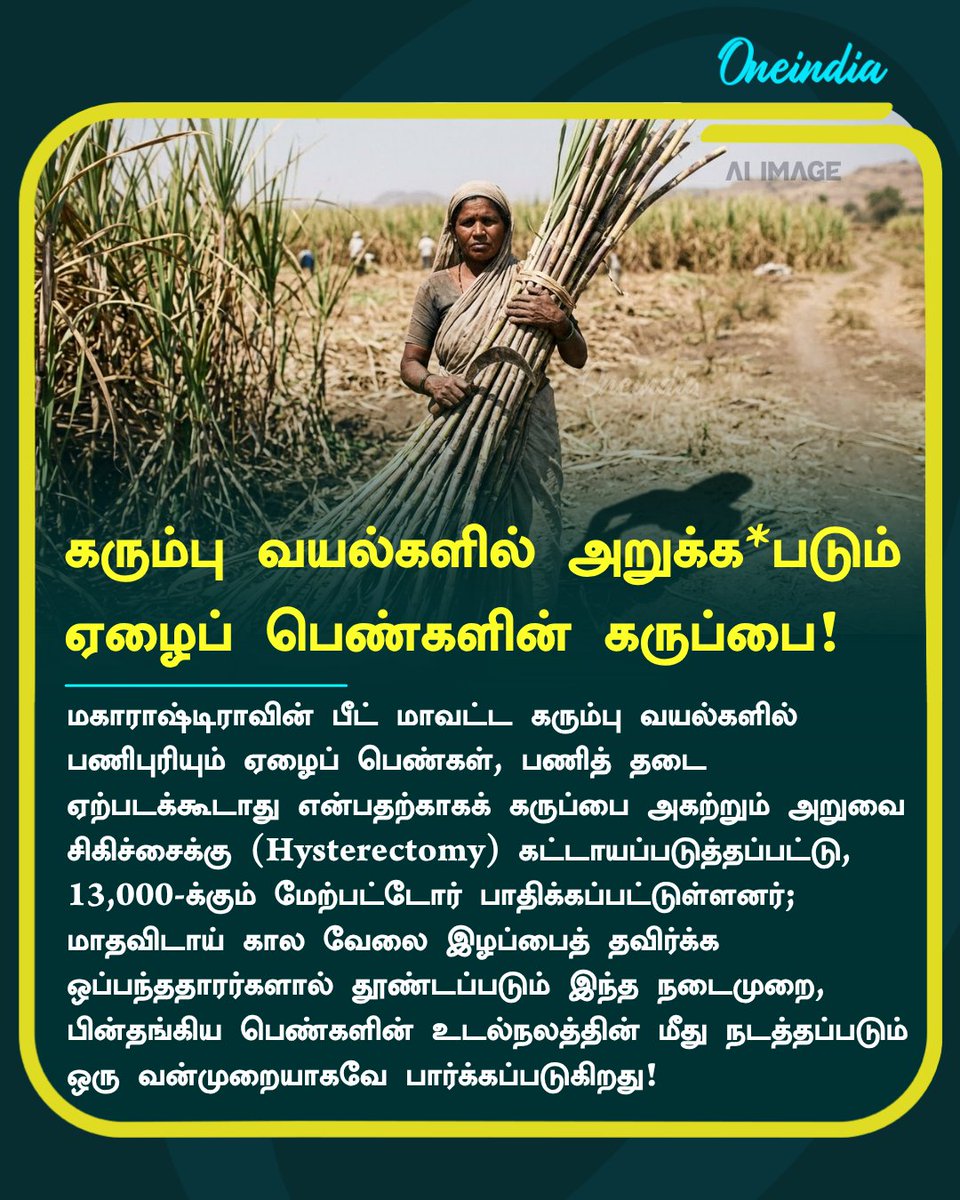 thatsTamil's tweet image. கரும்பு வயல்களில் அறுக்கப்*டும் 
ஏழைப் பெண்களின் கருப்பை!

#HumanRights #SocialJustice #HysterectomyScandal #SugarCaneWorkers #NewsUpdate #OneindiaTamil