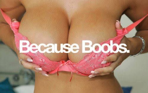 lisahsmithlhs tweet media