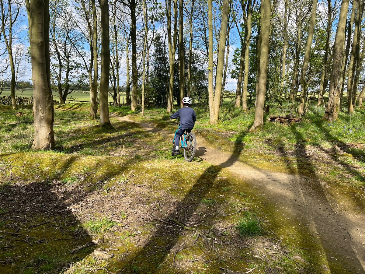 Roundhay Year 4 tweet media