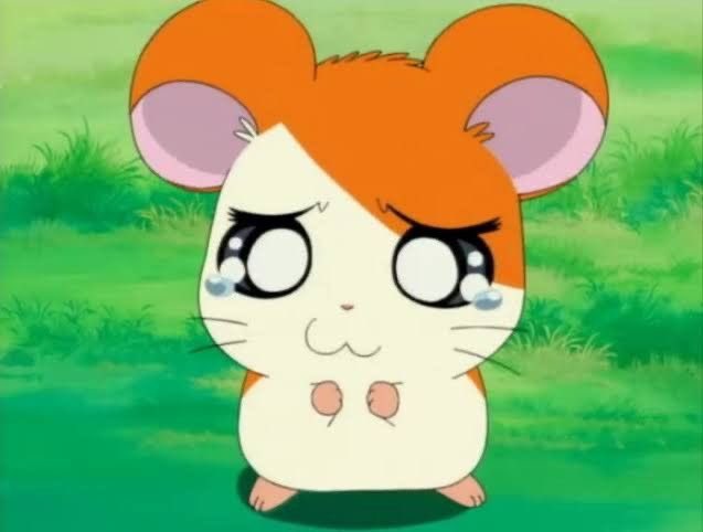 さき♡🎐 tweet media