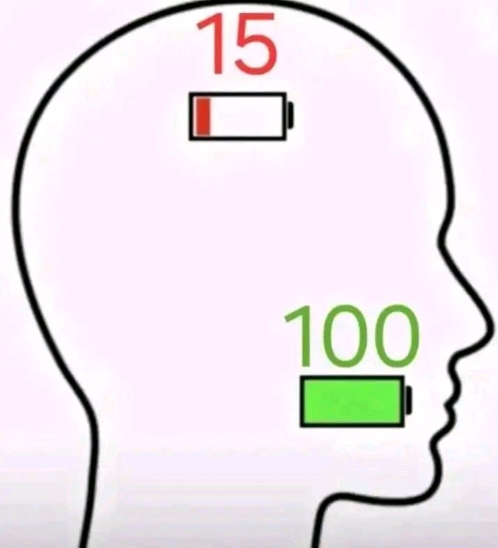 le Principal tweet media