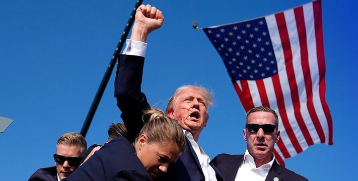 Dback Fan tweet media