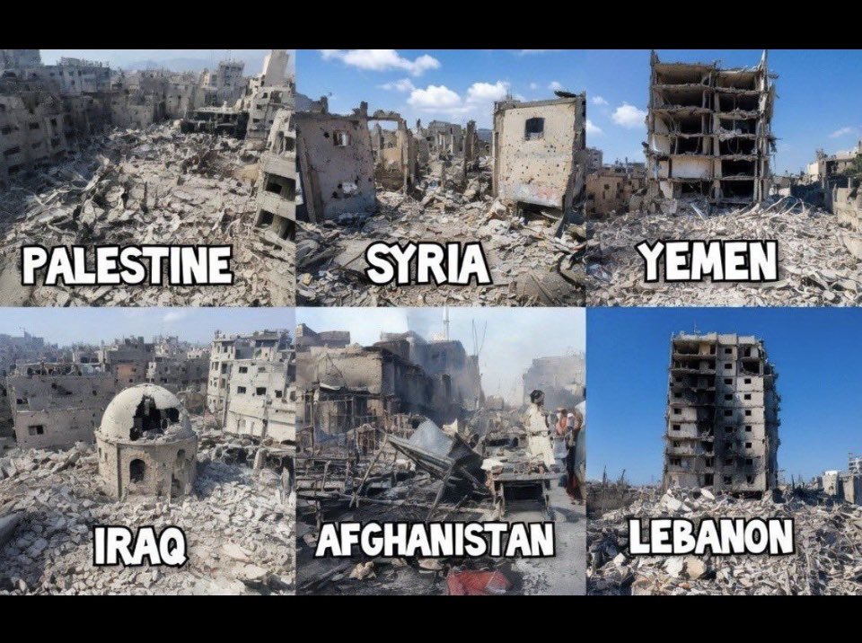 Denise Botko tweet media