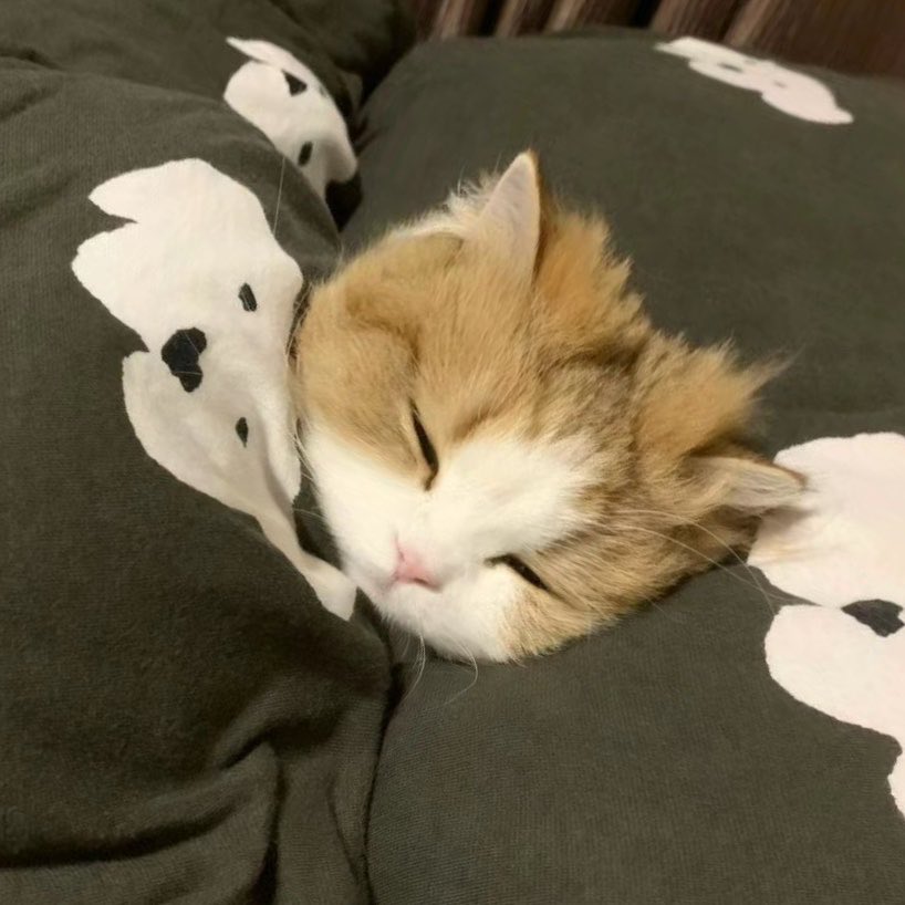 𝙱𝚎𝚛𝚛𝚢 tweet media