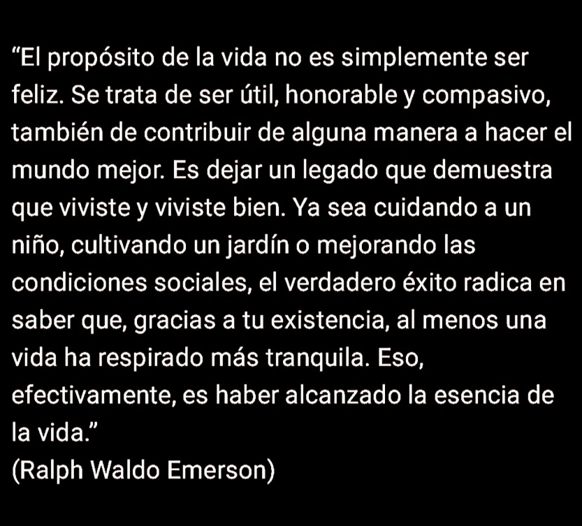 El Estoico | Filosofía (@elartedevivir__) on Twitter photo 