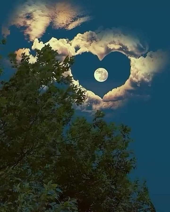 Åñöñymöüs💎 tweet media