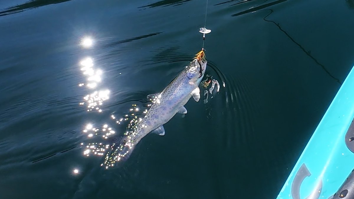 CalSportsMan's tweet image. Countdown to the #trout opener: Exploring the Middle Fork American/Rubicon River fisheries. 
calsportsmanmag.com/entering-the-r…