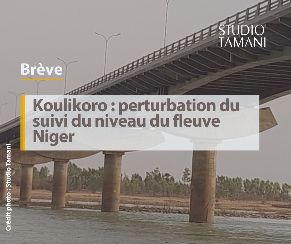 StudioTamani's tweet image. #Mali À #Koulikoro, le relevé du niveau des eaux du fleuve Niger est interrompu depuis plusieurs mois.

𝐋𝐢𝐫𝐞 📖 𝐥𝐚 𝐬𝐮𝐢𝐭𝐞 𝐬𝐮𝐫 👇 tinyurl.com/5y85vucf