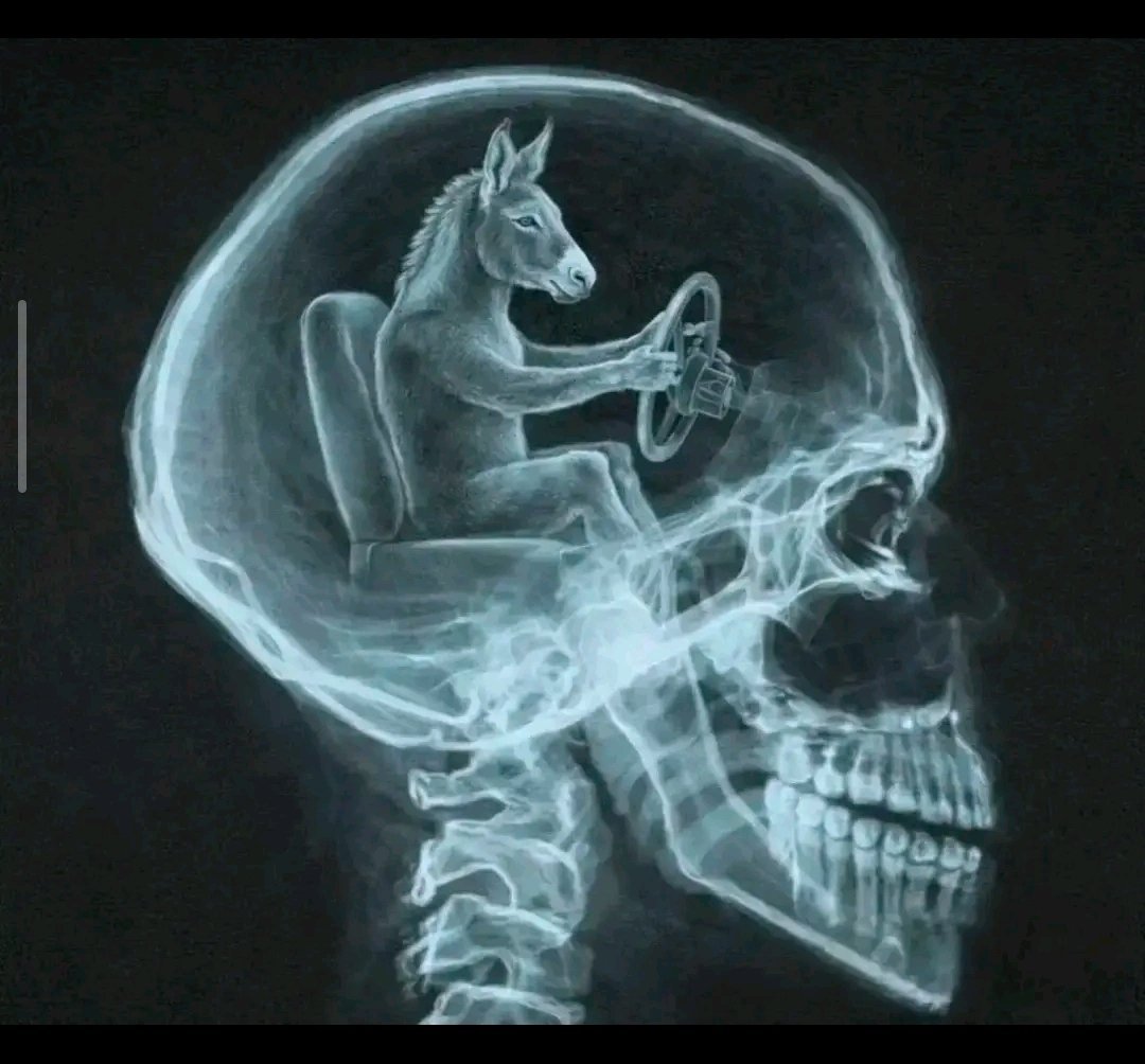 roeder.base tweet media