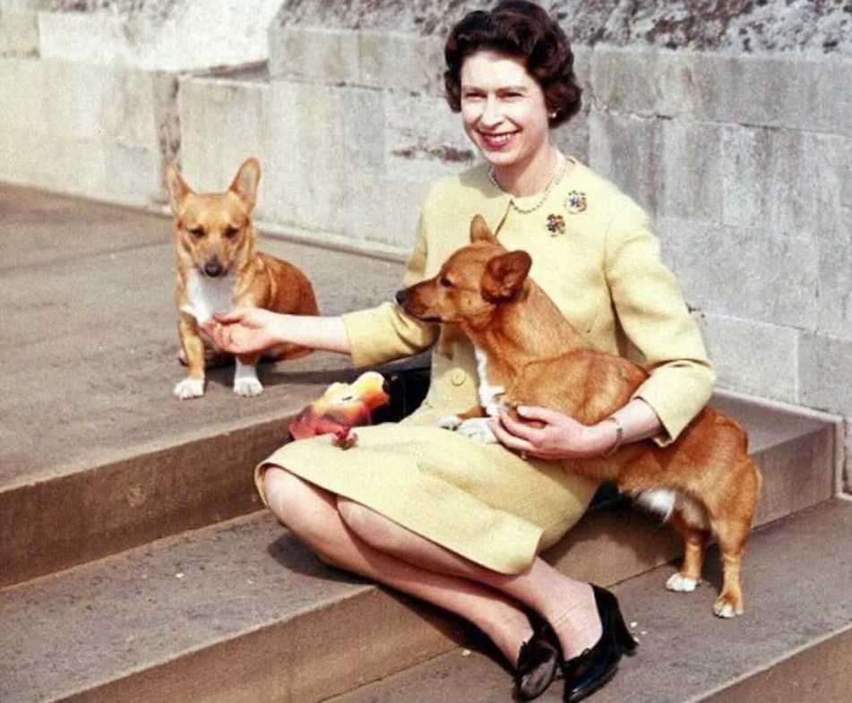 Emily Graziano tweet media