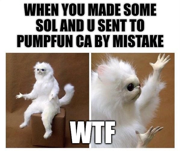 Monkey Cat $WTF tweet media