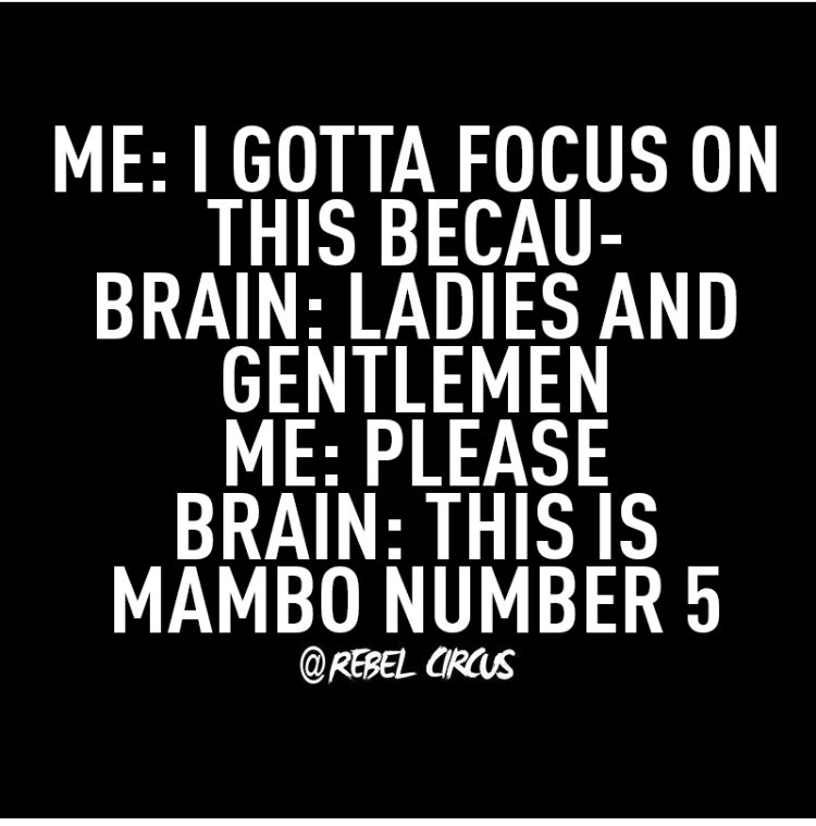 🇺🇸 Russ_The_Sheepdog-Buff 🇺🇸 tweet media