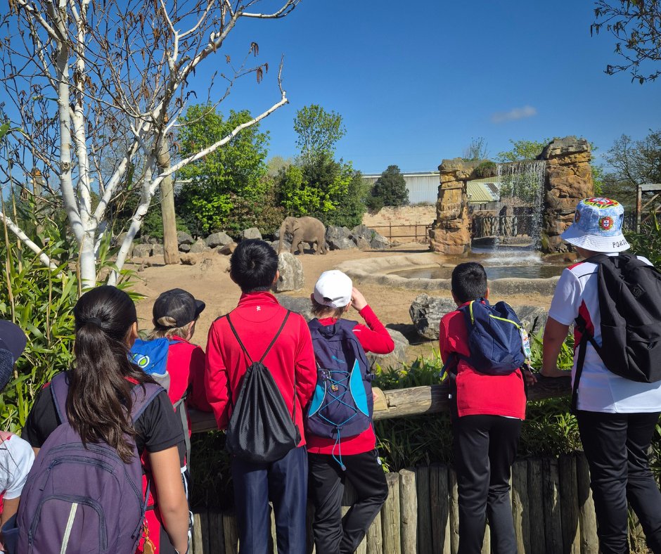 Newcastle-under-Lyme Prep School tweet media