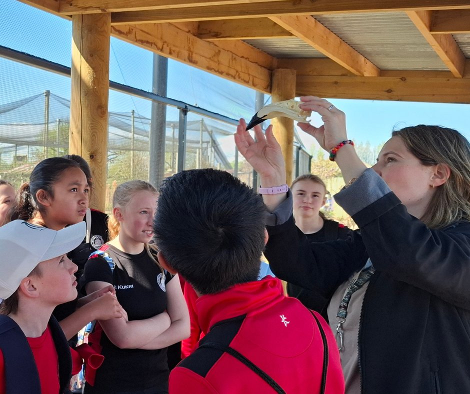 Newcastle-under-Lyme Prep School tweet media