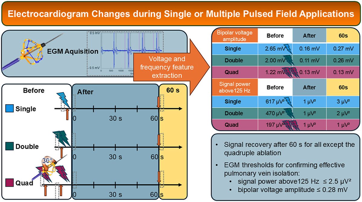 HRS_O2Journal's tweet image. Single or multiple pulsed field applications: Intracardiac electrogram changes and implications for procedural end points
@UniSpitalBasel @inselgruppe #EPeeps
heartrhythmopen.com/article/S2666-…