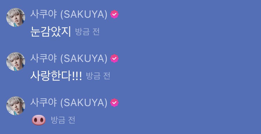 사쿠야가 눈 감으라더니
사랑한다!!!
이럼 어떡해 😭😭🥹