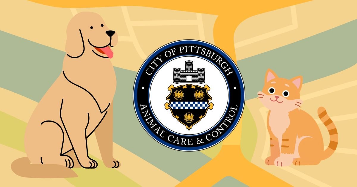 Pittsburgh Public Safety tweet media