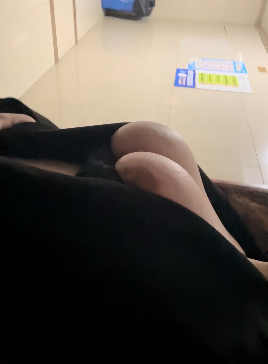 数值怪小狗 tweet media